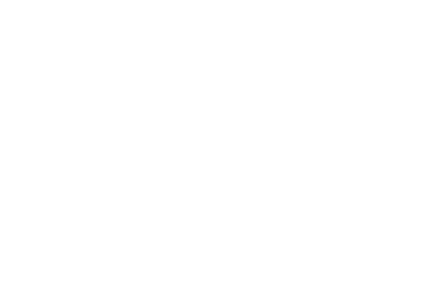 Training / Coaching für Firmen und Organisationen